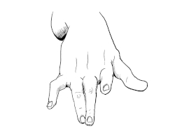 Foreshortened Hand