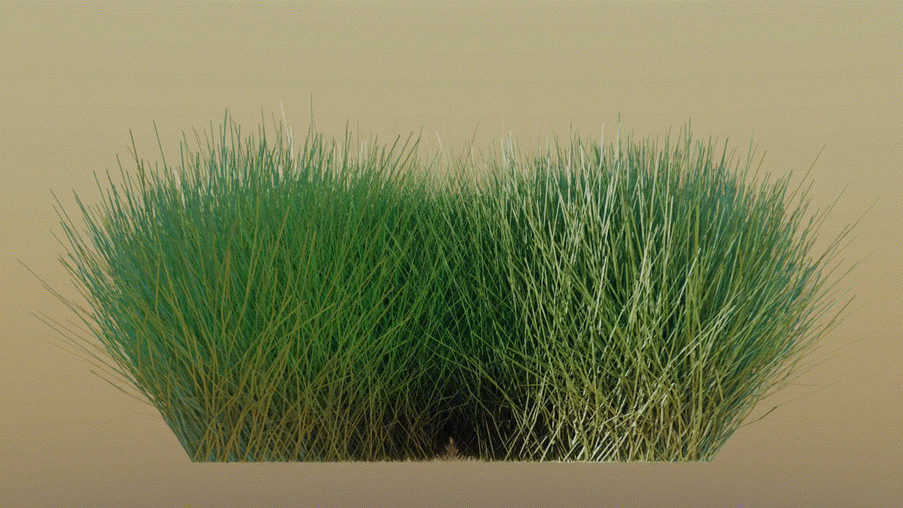 Arch Viz Grass